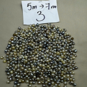 3 Tokki dài (Ngọc trai thô)