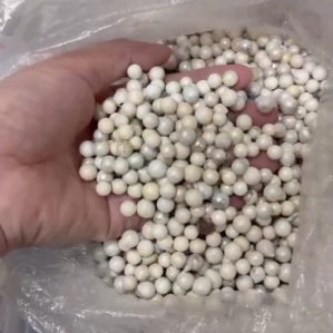 301 Ngọc bạc màu (Ngọc trai thô)