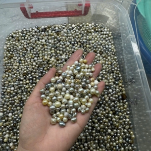 7.1 Ngọc chưa phân loại 5~8mm (Ngọc trai thô)