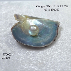 NT0002 Ngọc trai Akoya 