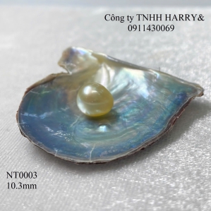 NT0003 Ngọc trai Akoya 