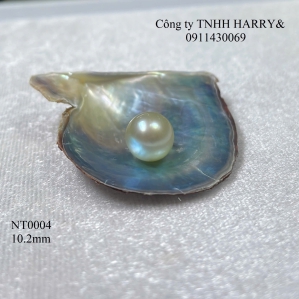 NT0004 Ngọc trai Akoya 