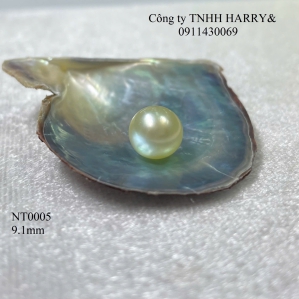 NT0005 Ngọc trai Akoya 