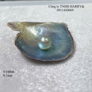NT0006 Ngọc trai Akoya 
