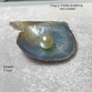NT0007 Ngọc trai Akoya 