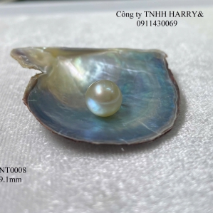 NT0008 Ngọc trai Akoya 