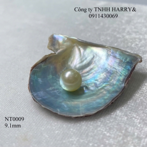 NT0009 Ngọc trai Akoya 