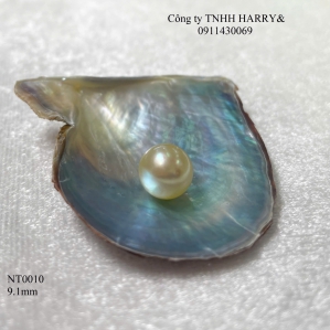 NT0010 Ngọc trai Akoya 