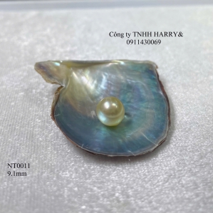 NT0011 Ngọc trai Akoya 