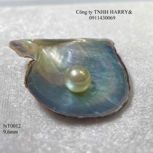 NT0012 Ngọc trai Akoya 