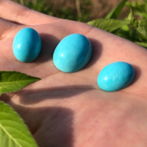 Turquoise hình Oval