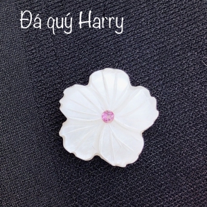 SẢN PHẨM TỪ VỎ TRAI