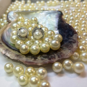 HOA TAI NGỌC TRAI BẠC SV925