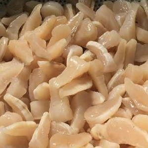 9.1 Còi trai akoya tươi